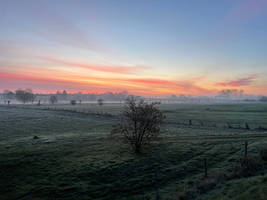 Sonnenaufgang Oldenburger Bruch 