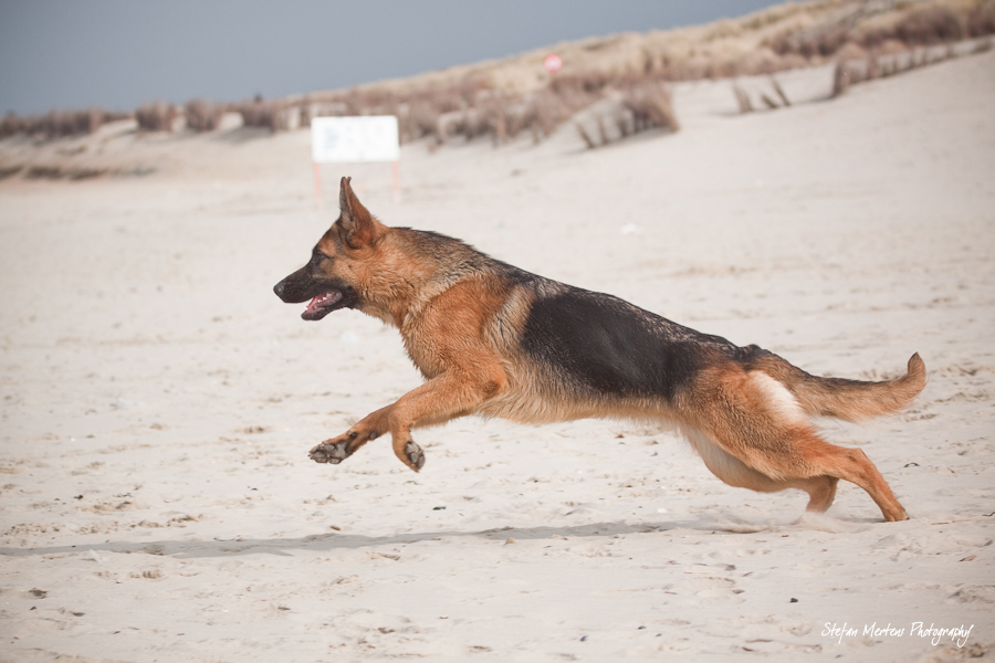 Liska BeachRun