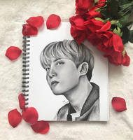 Jung Hoseok / J-Hope