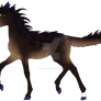 N9051 Padro Foal Design