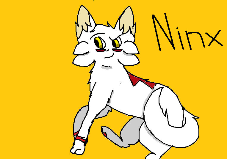 Ninx Cat Ninx :3 by Orangemoon11 on DeviantArt