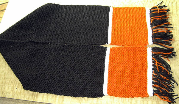 SF Giants scarf