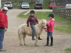 Lemondrop Pony!