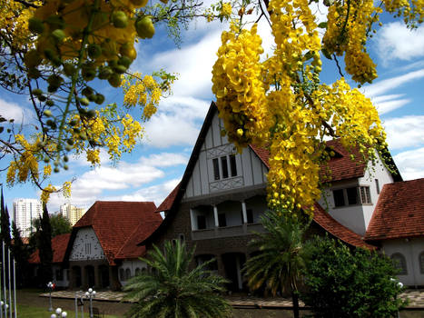 Flowers at the Museum