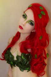 Poison Ivy