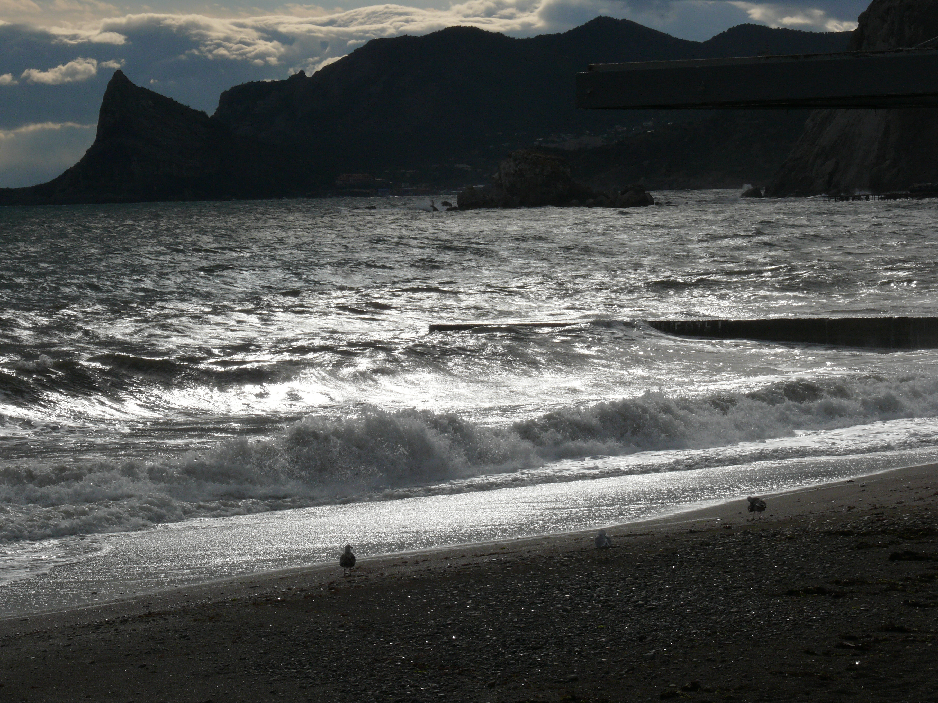 September 2013 Crimea Sudak P1050130