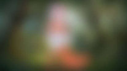 Maid Marian in only a diaper in the forest