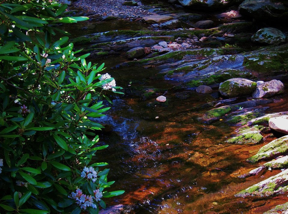 Across The Rocks across the rocks by AylaCortimai on DeviantArt