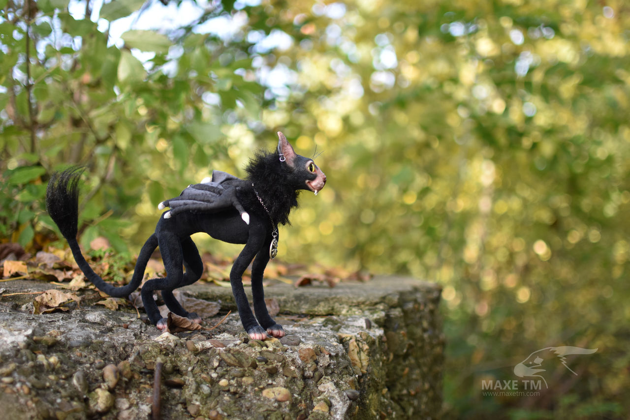 Batcat Batcat art doll by maxetm on DeviantArt