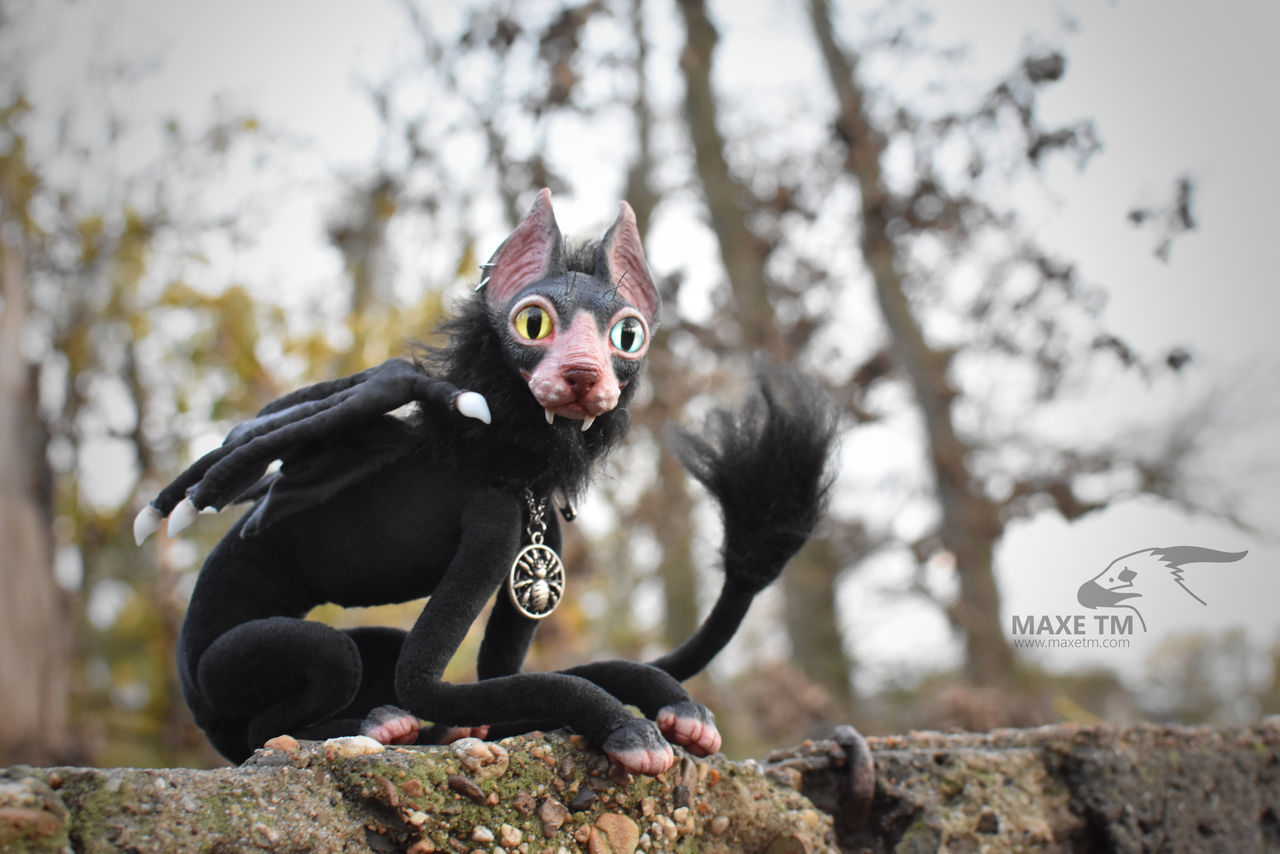 Batcat Batcat art doll by maxetm on DeviantArt