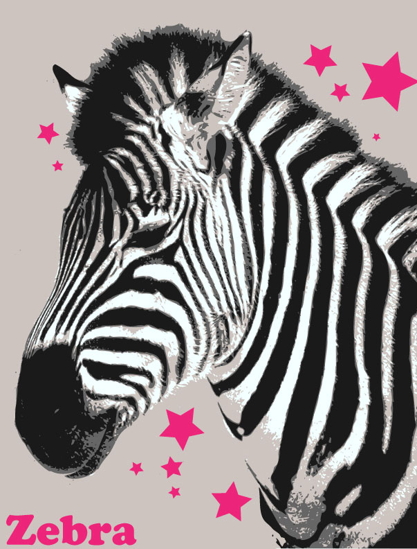 Zebra.