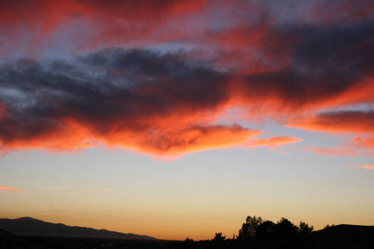 Desert Sunset