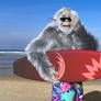 Surfing Yeti