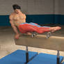 Pommel-Horse-Training