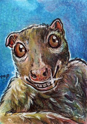 aceo for lemurkat