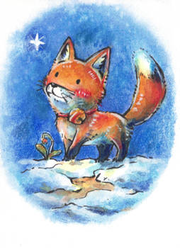 aceo fox