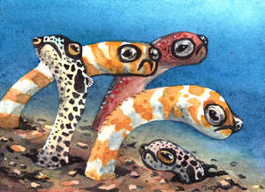 aceo garden eels