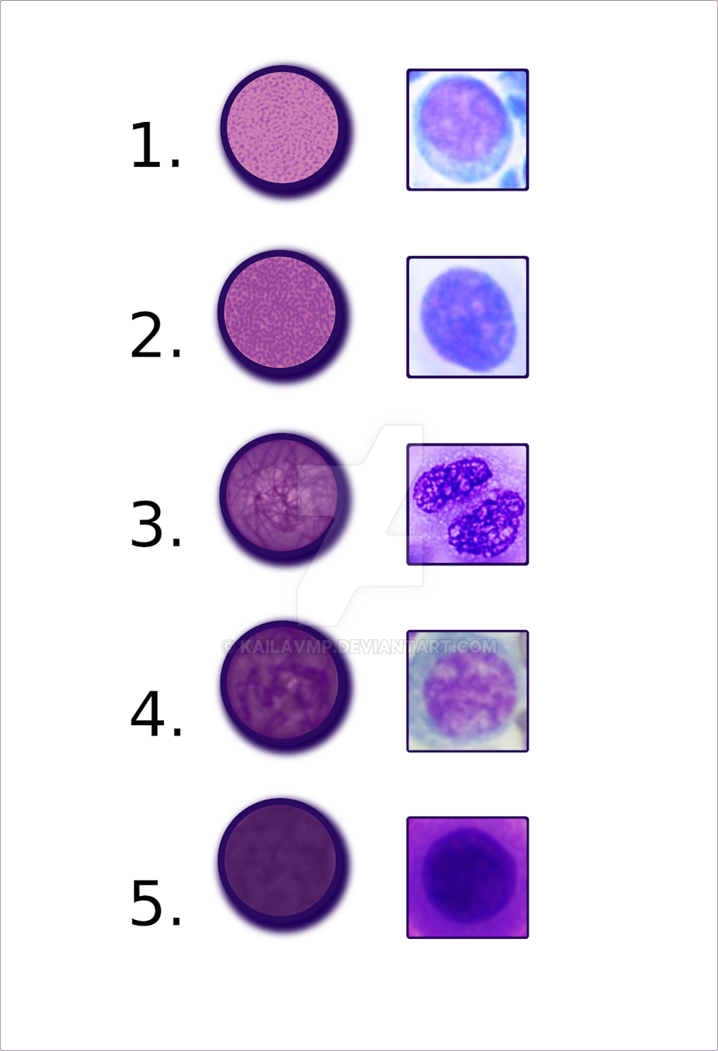 Chromatin Patterns By Kailavmp On DeviantArt chromatin-patterns-by-kailavmp-on-deviantart