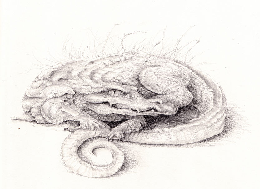 Crocodile by pretendpsychiatrist Crocodile by pretendpsychiatrist