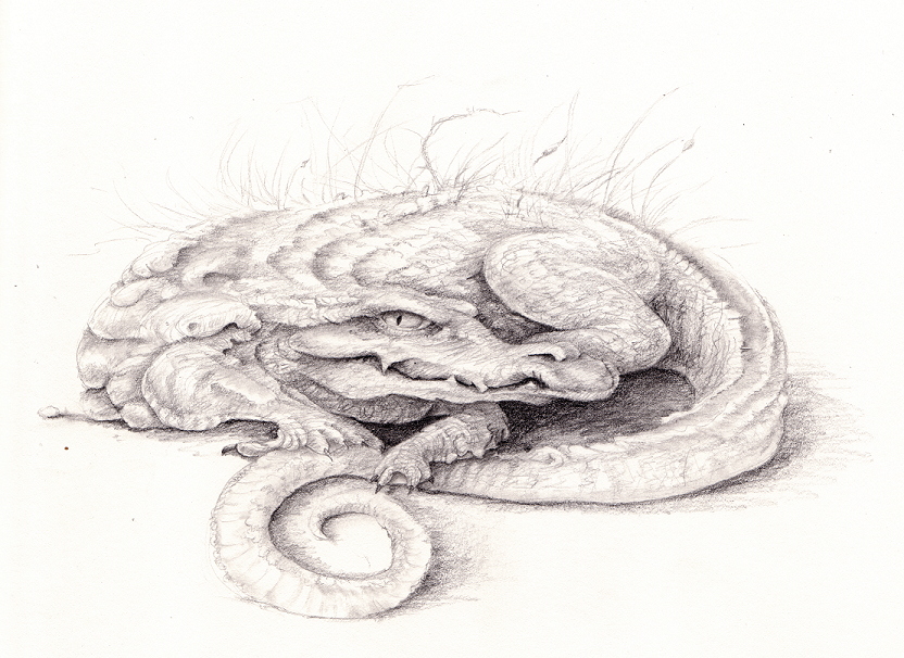 Crocodile by pretendpsychiatrist Crocodile by pretendpsychiatrist