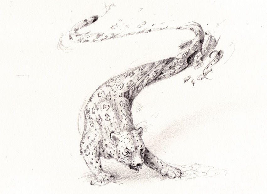 Jaguar by pretendpsychiatrist Jaguar by pretendpsychiatrist