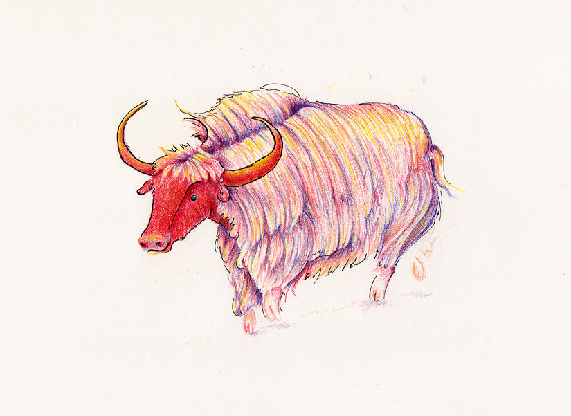 Yak by pretendpsychiatrist Yak by pretendpsychiatrist