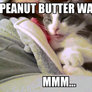 Peanut Butter Waffles? Mmmmmmm...