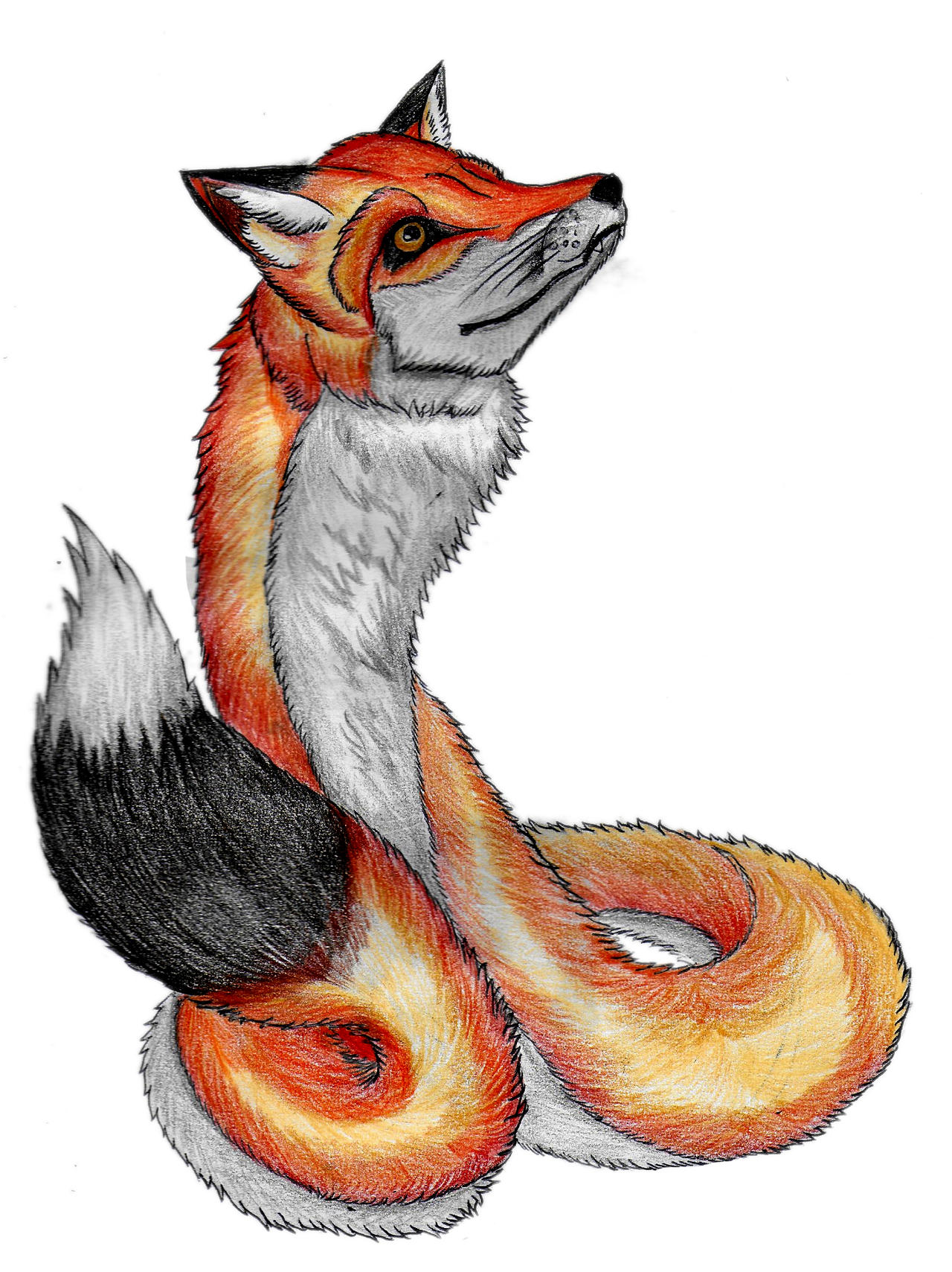 Floof Noodle by charthe3 on DeviantArt