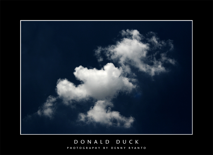 donald duck