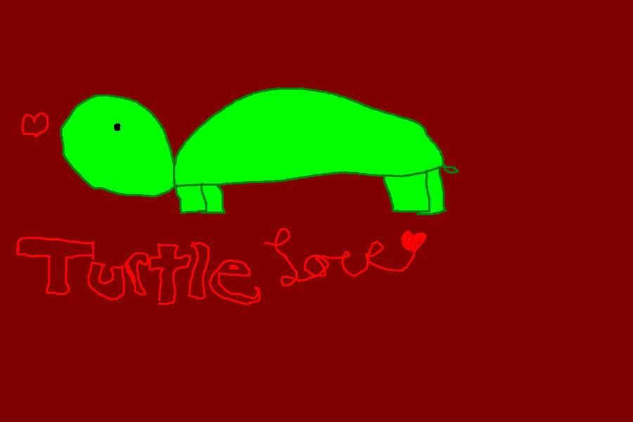 turtle love