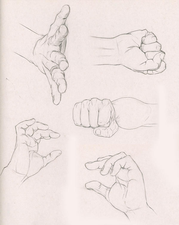 Hand Drawn Example Hand studies 2 by ShiroNinja on DeviantArt