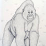 Gorilla