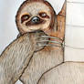 Sloth