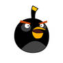Angry Bird - Black Bird
