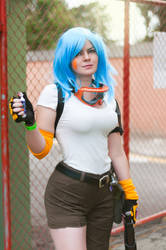 Bulma 03