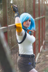 Bulma 04