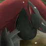 Pokemon Zoroark Silvestre