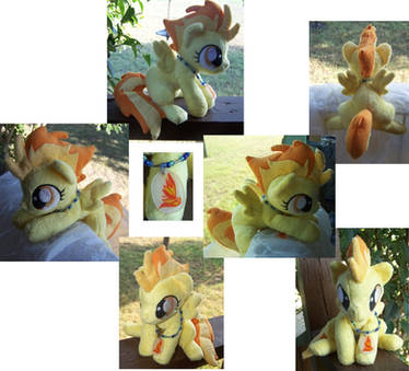 Sitting spitfire filly