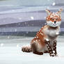 Winter Fox