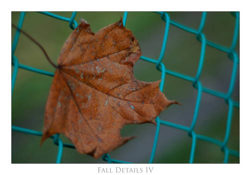 Fall Details IV.