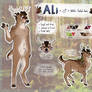Deersona Reference