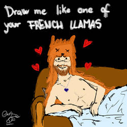 Draw me like one of your French Llamas