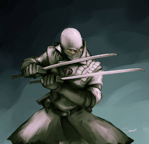 Storm Shadow