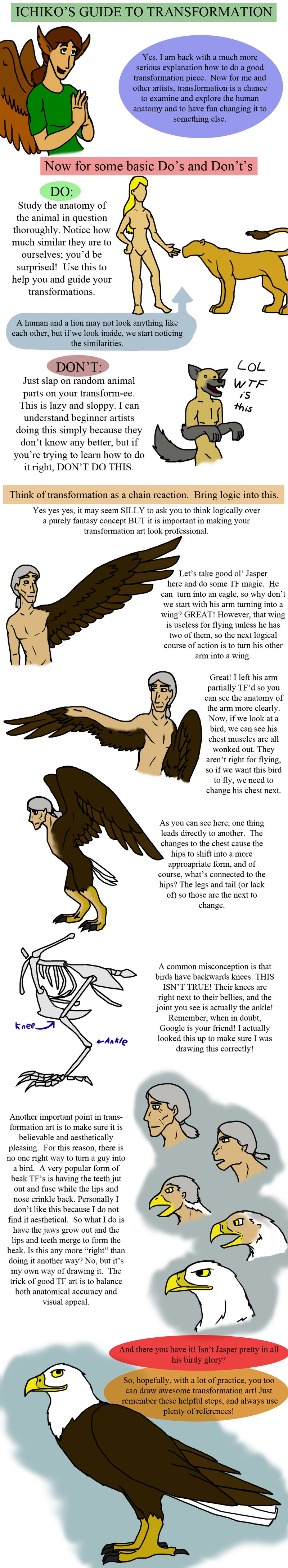 Transformation Tutorial By Ichikowindgryphon On Deviantart