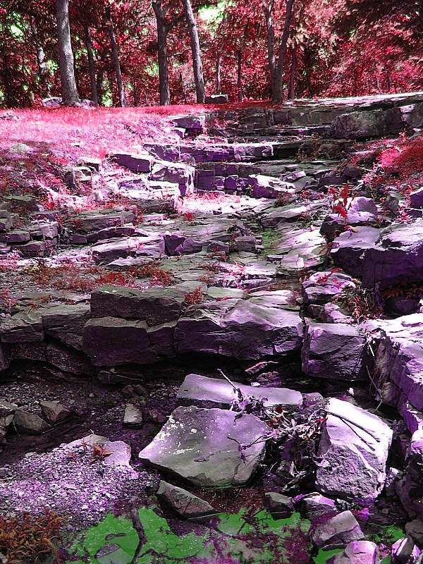 Peaceful Grounds by Reilune on DeviantArt