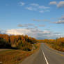 Autumn Road