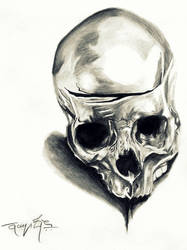 human skull charcoal sketch