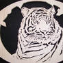 white  bengal     Tiger