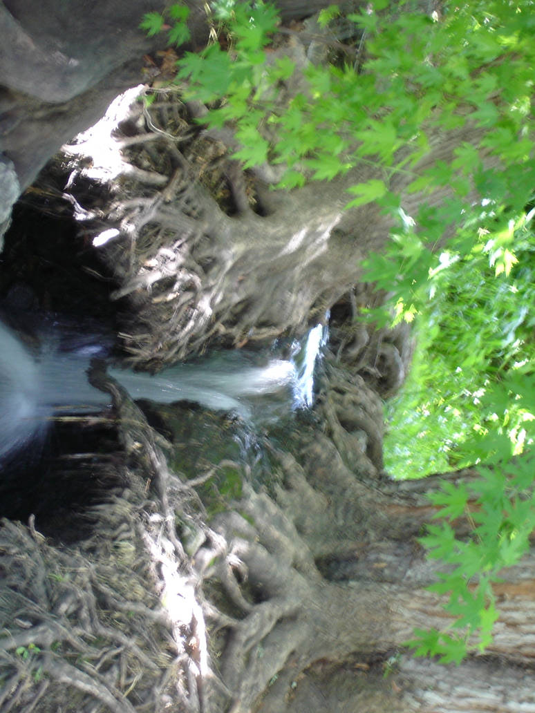 Lindin Tree Park Waterfall