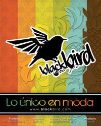 BlackBird anuncio prensa